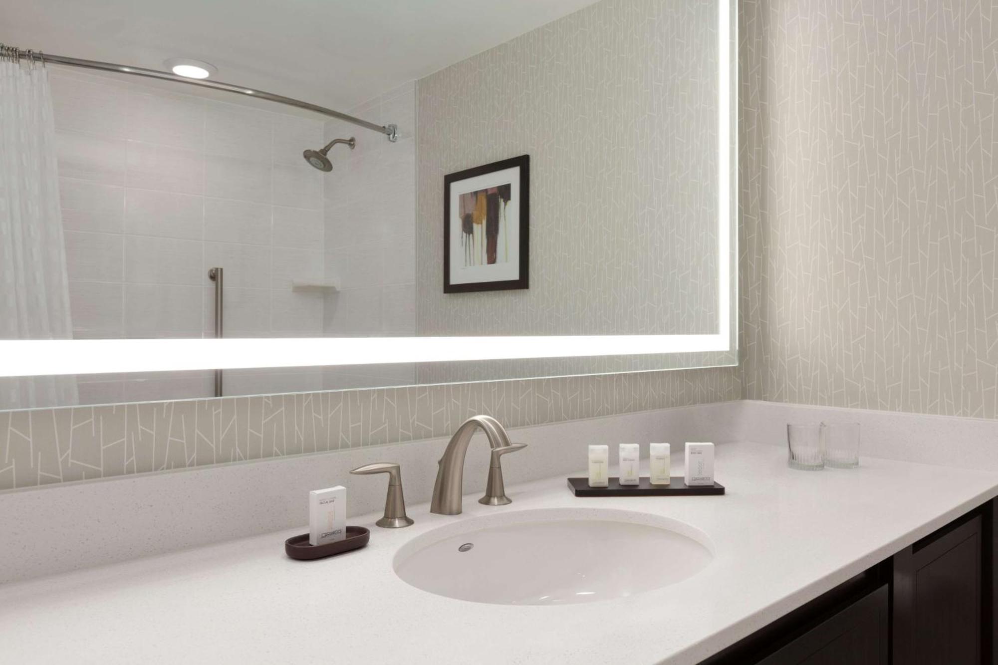1 Bedroom Suite with King Bed - Non-Smoking